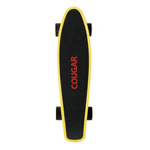 Arch Design Plastic Skateboard